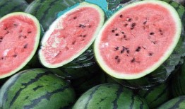 网红热瓜 17吃瓜fun,揭秘“吃瓜fun”背后的热门事件