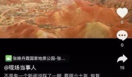 社会热点话题事件 抖音网红大鹅,从田间小鹅到网络红人的蜕变之路